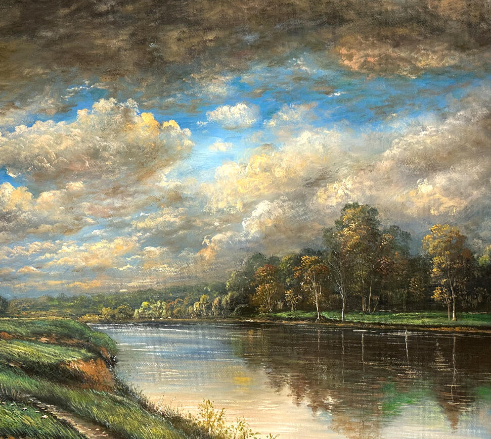 Morning Light at Minnippi, Minnippi Parklands, 2025, Oil on Linen, 60cm x 50cm