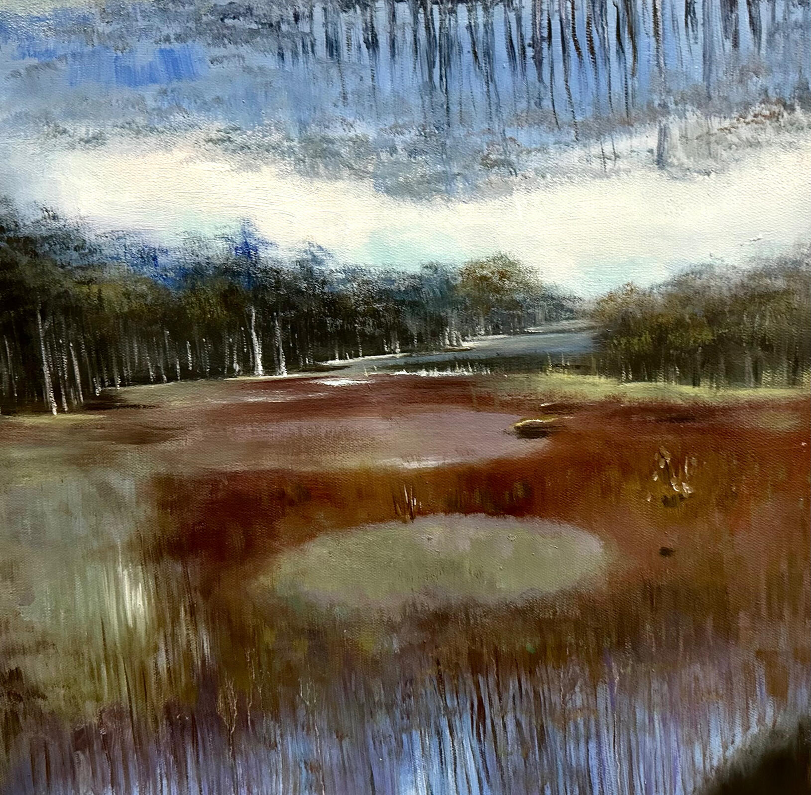 Soaked in Stillness, Boondall wetland, 2016, Oil on Linen, 70cm x 60cm