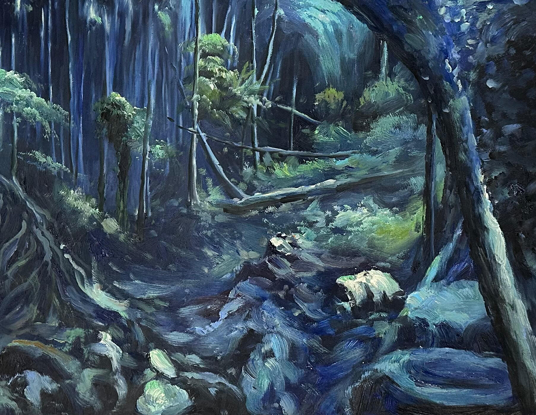 Midnight in the Gorge, 2018, Sunny Coast rainforest, Oil on Canvas 60cm x 50cm