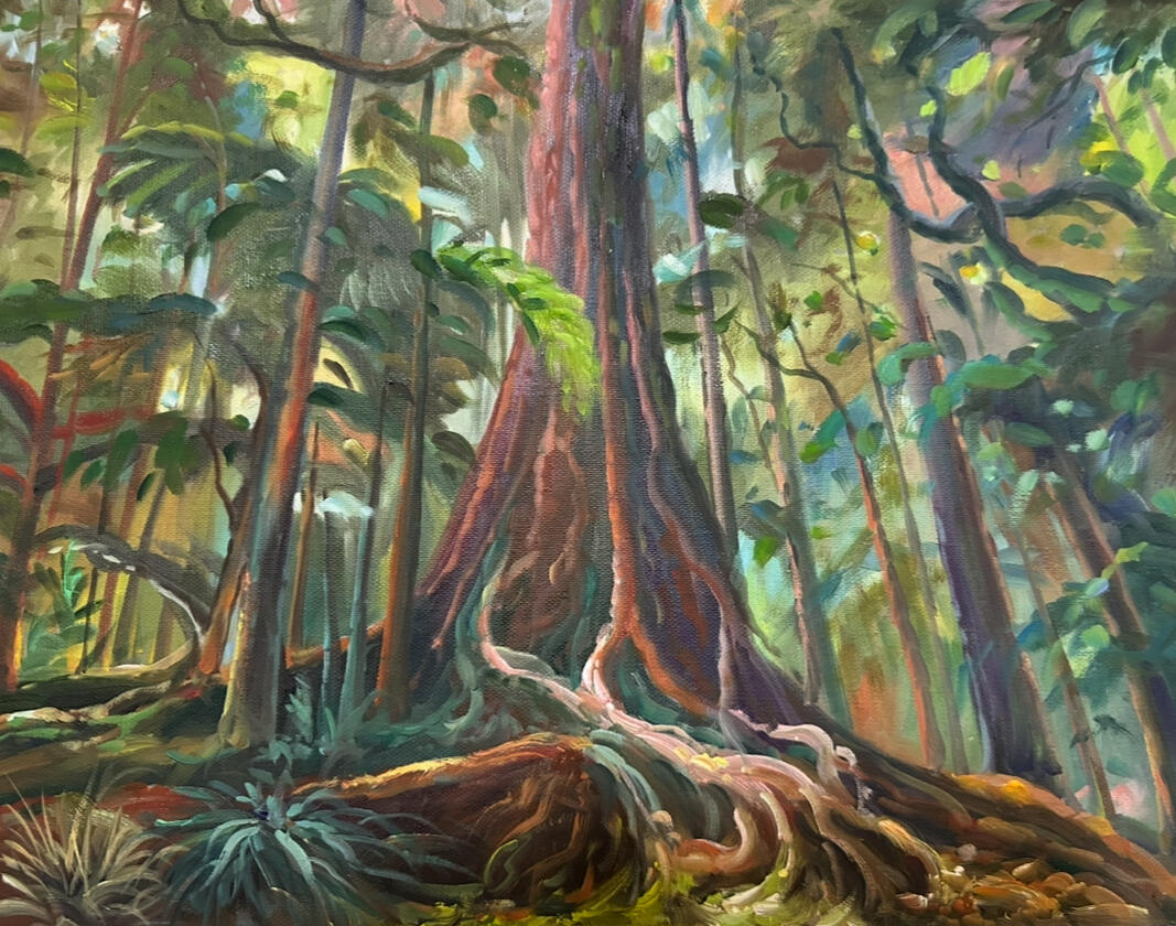 Springbrook National Park, 2018, Oil on Linen, 50cm x 40cm